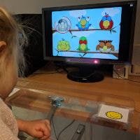 Foto van een meisje dat kijkt naar een computerscherm, waarop een spelletje te zien is met 6 getekende vogels. Onder het computerscherm hangt een oogsturingssysteem.